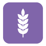 Fibre